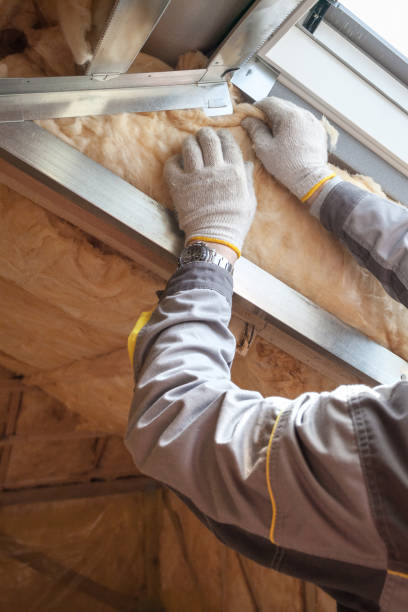 Best Residential Insulation in Prairie Du Chien, WI