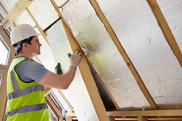 Best Insulation Maintenance and Repair in Prairie Du Chien, WI